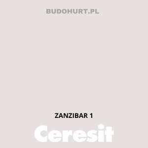 CT49 farba nanosilikonowa ZANZIBAR 1 gr.A/15L