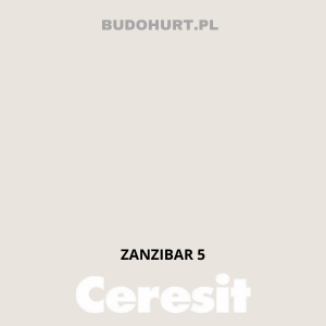 CT49 farba nanosilikonowa ZANZIBAR 5 gr.A/15L