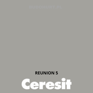 Tynk akrylowy CT60  REUNION 5 gr.A 1,5mm 25kg