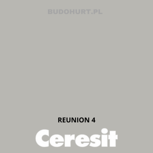 Tynk silikat-silikon CT174 MACHINE REUNION 4 gr.A 1 mm 25kg