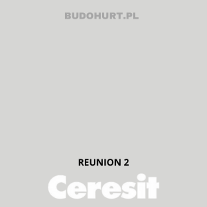 Tynk silikatowo-silikonowy CT174 REUNION 2 gr.A 1,5mm 25kg