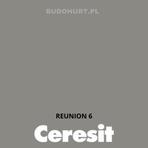 Tynk silikatowo-silikonowy CT174 REUNION 6 gr.B 1,5mm 25kg