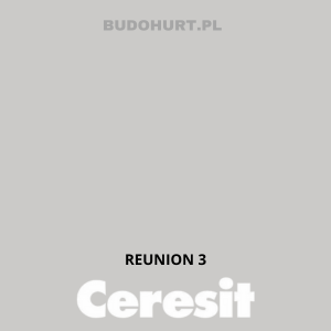 Tynk siliko-elastomerowy CT76  REUNION 3 gr.A 1,5mm 25kg