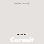 Tynk silikonowy CT74  REUNION 1 gr.B 1,5mm 25kg