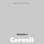 Tynk silikonowy CT74  REUNION 3 gr.A 1,5mm 25kg