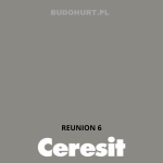 Tynk silikonowy CT74  REUNION 6 gr.B 1,5mm 25kg