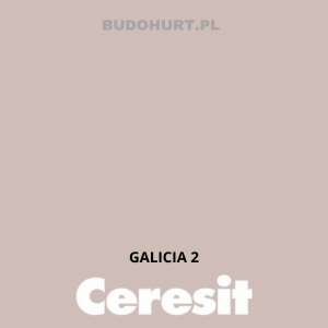 CT49 farba nanosilikonowa GALICIA 2 gr.A/15L