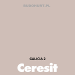 Tynk silikonowy CT74  GALICIA 2 gr.A 1,5mm 25kg