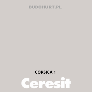 CT49 farba nanosilikonowa CORSICA 1 gr.A/15L