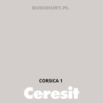 Tynk silikonowy CT74  CORSICA 1 gr.A 1,5mm 25kg
