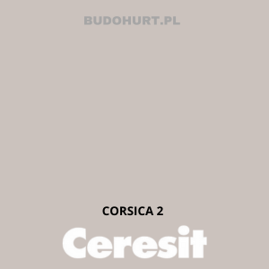 CT49 farba nanosilikonowa CORSICA 2 gr.A/15L