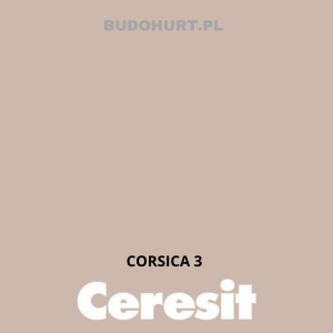 CT54 farba silikatowa CORSICA 3 gr.A 15L