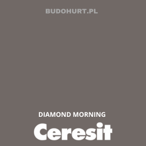 Tynk siliko-elastomerowy CT76 Diamond Morning 25kg