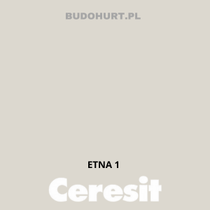 CT49 farba nanosilikonowa  ETNA 1 gr.A/15L