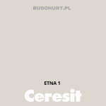 Tynk silikonowy CT74   ETNA 1 gr.A 1,5mm 25kg