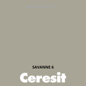 CT48 farba silikonowa  SAVANNE 6 gr.B 15L