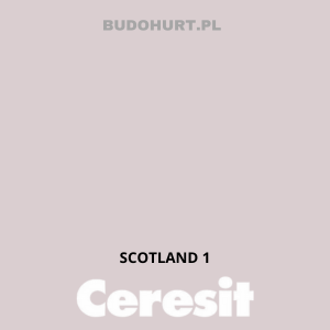 CT42 farba akrylowa SCOTLAND 1 gr.B/15L