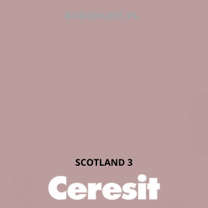 CT42 farba akrylowa SCOTLAND 3 gr.A/15L