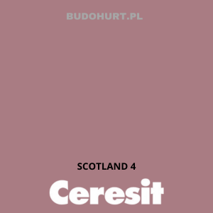 CT42 farba akrylowa SCOTLAND 4 gr.A/15L