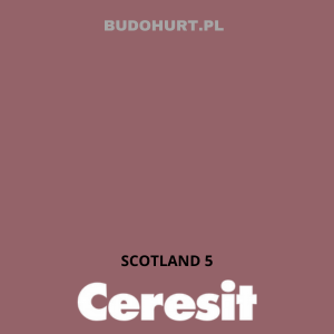 Tynk silikat-silikon CT174 MACHINE SCOTLAND 5 gr.B 1 mm 25kg