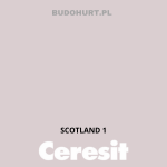 Tynk silikonowy CT74  SCOTLAND 1 gr.A 1,5mm 25kg