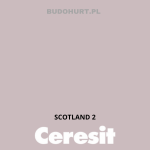 Tynk silikonowy CT74  SCOTLAND 2 gr.B 1,5mm 25kg