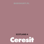 Tynk silikonowy CT74  SCOTLAND 4 gr.B 1,5mm 25kg