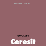 Tynk silikonowy CT74  SCOTLAND 5 gr.B 1,5mm 25kg