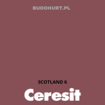 Tynk silikonowy CT74  SCOTLAND 6 gr.C 1,5mm 25kg