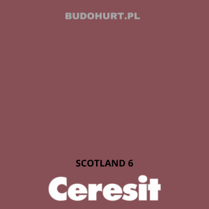 Tynk silikatowo-silikonowy CT174 SCOTLAND 6 gr.C 1,5mm 25kg