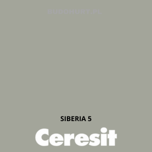 CT42 farba akrylowa  SIBERIA 5 gr.A/15L