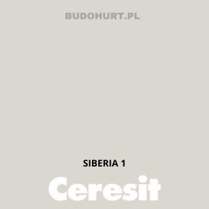 CT54 farba silikatowa  SIBERIA1 gr.A 15L