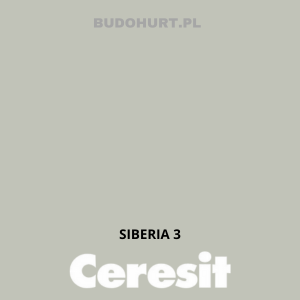 CT54 farba silikatowa  SIBERIA3 gr.A 15L