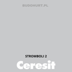Tynk siliko-elastomerowy CT76  STROMBOLI 2 gr.A 1,5mm 25kg