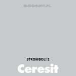 Tynk silikonowy CT74  STROMBOLI 2 gr.A 1,5mm 25kg