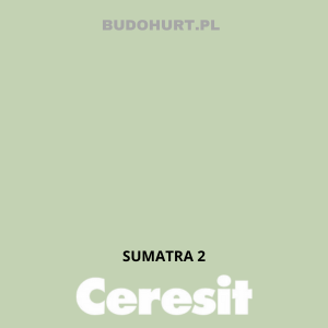 CT48 Farba silikonowa   SUMATRA 2  gr.A 15l