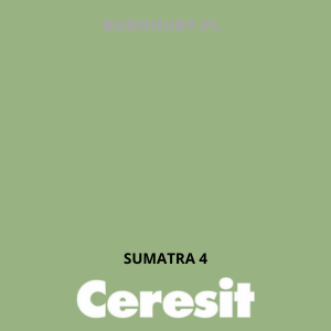 CT48 farba silikonowa SUMATRA 4 gr.B 15L