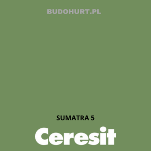 CT48 farba silikonowa SUMATRA 5 gr.C 15L