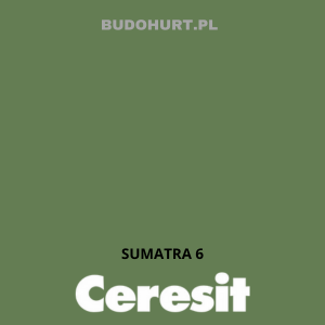 CT48 farba silikonowa SUMATRA 6 gr.E 15L