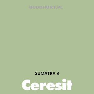 CT49 farba nanosilikonowa  SUMATRA 3  gr.A/15L