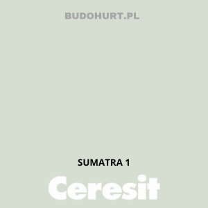 Kolor tynku SUMATRA 1