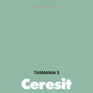 CT42 farba akrylowa  TASMANIA 3  gr.A/15L