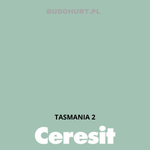 CT48 Farba silikonowa   TASMANIA 2  gr.A 15l