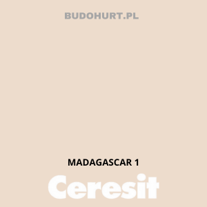 CT54 farba silikatowa MADAGASCAR 1 gr.A 15L