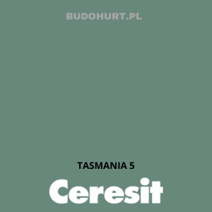 CT48 farba silikonowa TASMANIA 5 gr.B 15L