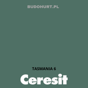 CT48 farba silikonowa TASMANIA 6 gr.C 15L