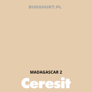 CT48 Farba silikonowa  MADAGASCAR 2 gr.A 15l