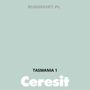 Kolor tynku TASMANIA 1