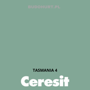 Tynk siliko-elastomerowy CT76   TASMANIA 4  gr.B 1,5mm 25kg