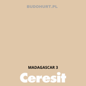 CT42 farba akrylowa MADAGASCAR 3 gr.A/15L